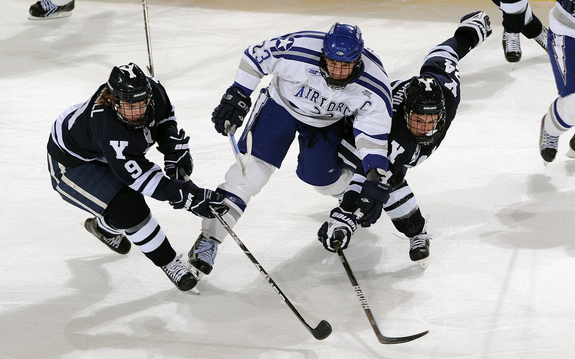 “高新体育中心篮球赛：全场沸腾，精彩绝伦”