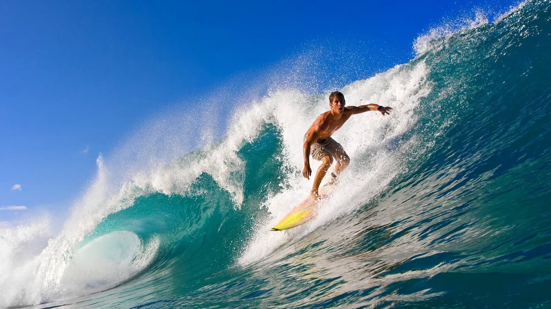 国内裁判培训体系改革全面提升执法专业水平,裁判培训计划